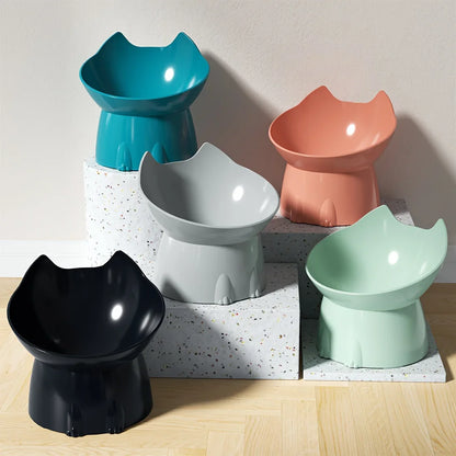 Tilted Elevated Cat Bowl