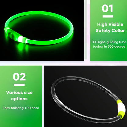 Night Walk Waterproof LED Dog Collar