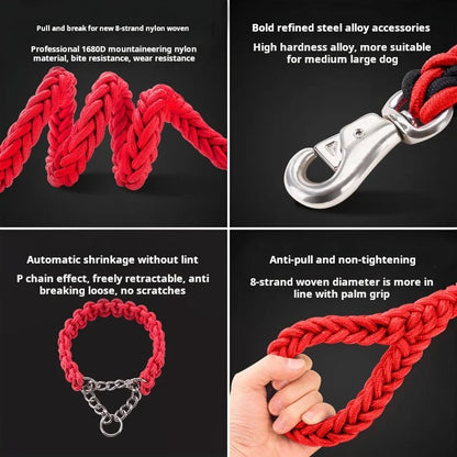 Everyday Nylon Dog Leash