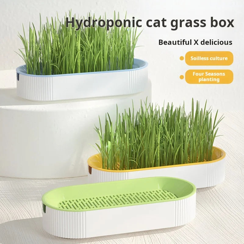 Soilless Hydroponic Cat Grass Planter