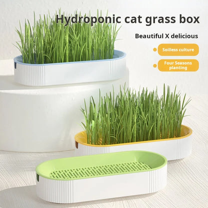 Soilless Hydroponic Cat Grass Planter