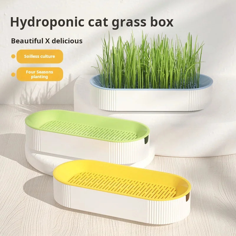 Soilless Hydroponic Cat Grass Planter