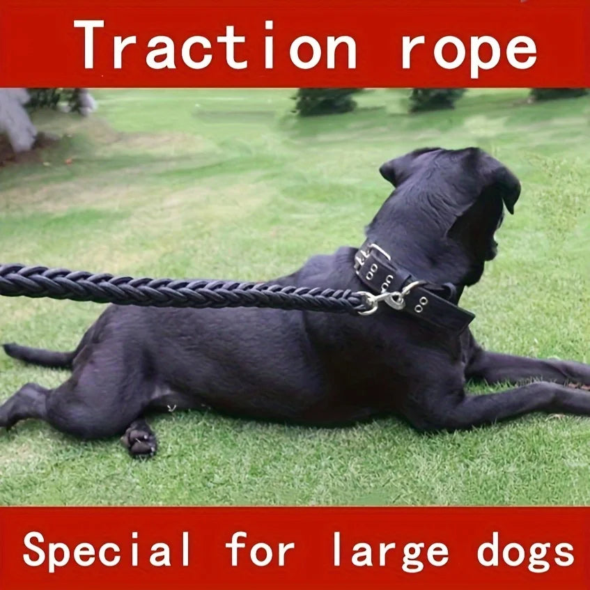 Everyday Nylon Dog Leash