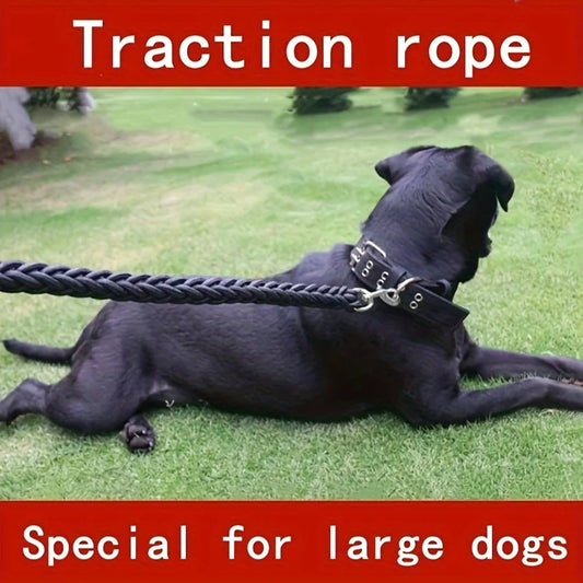 Everyday Nylon Dog Leash