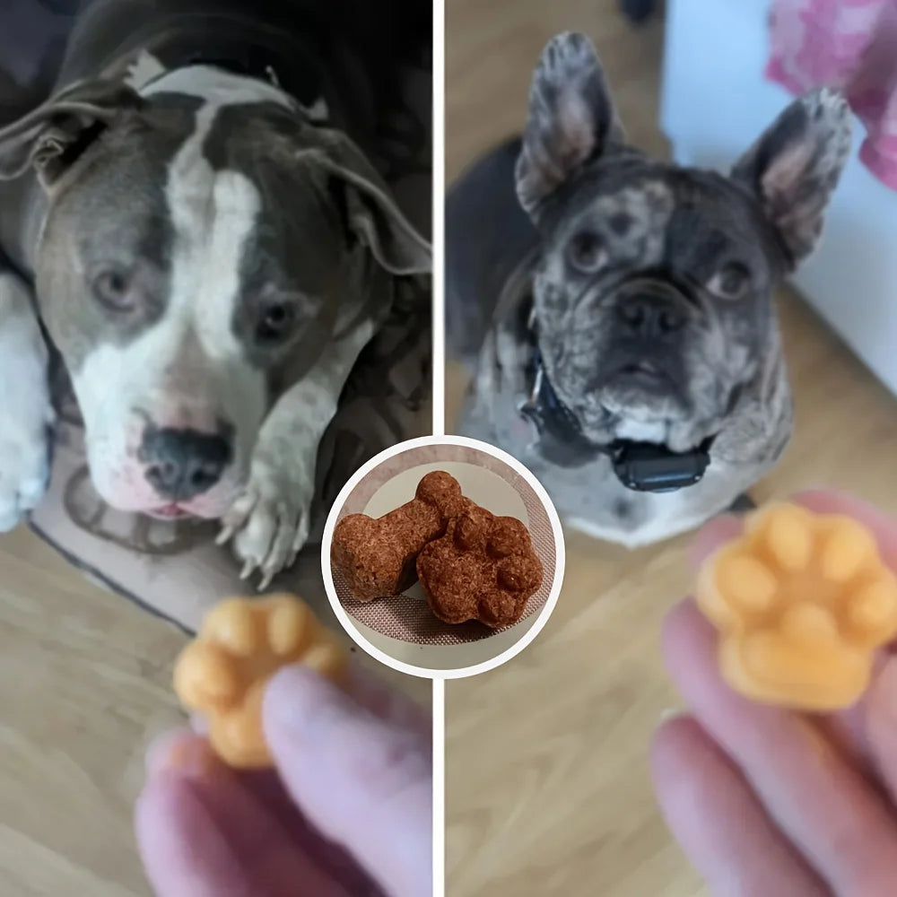 Paw & Bone Silicone Dog Treat Mold