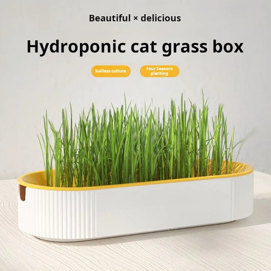 Soilless Hydroponic Cat Grass Planter