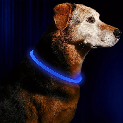 Night Walk Waterproof LED Dog Collar