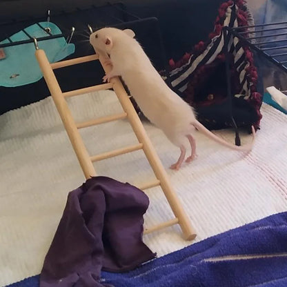 Natural Wooden Small Pet Climbing Ladder