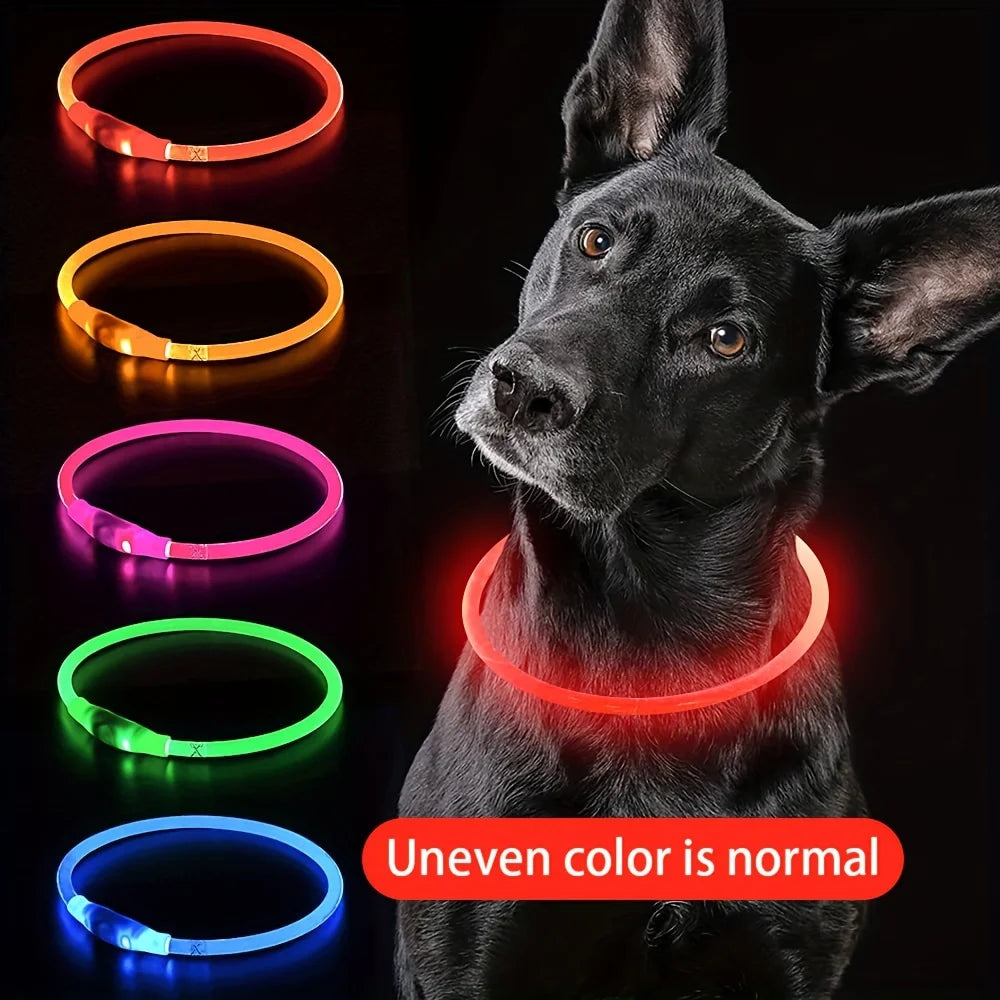 Night Walk Waterproof LED Dog Collar