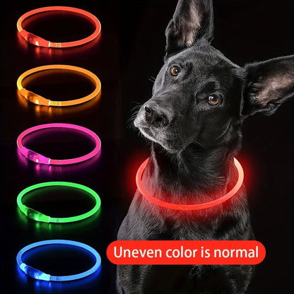Night Walk Waterproof LED Dog Collar