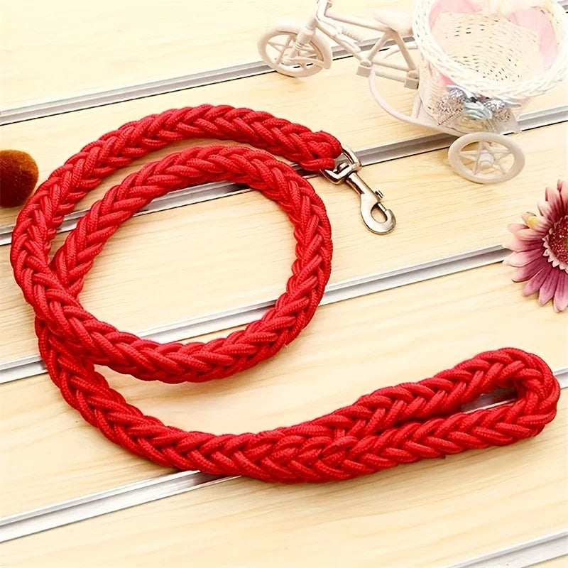 Everyday Nylon Dog Leash