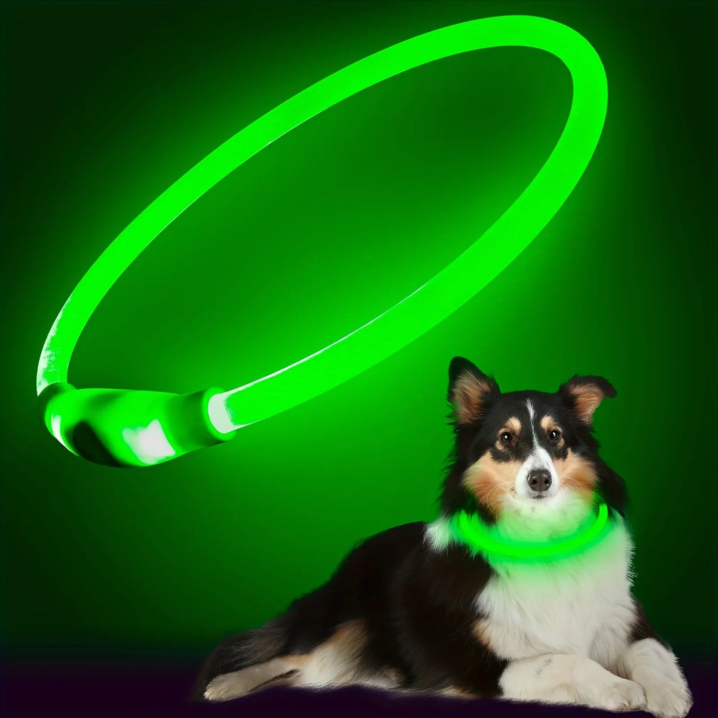 Night Walk Waterproof LED Dog Collar