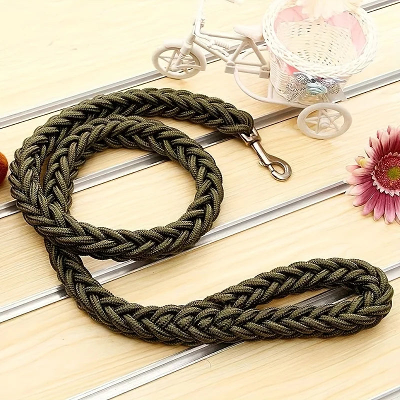 Everyday Nylon Dog Leash