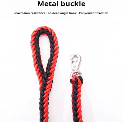 Everyday Nylon Dog Leash