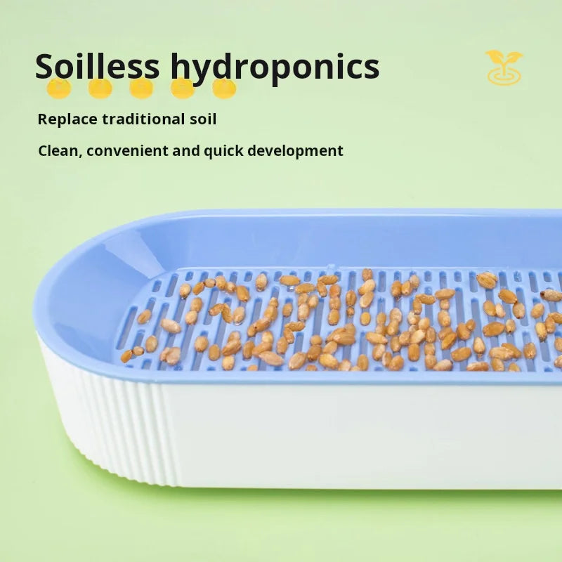Soilless Hydroponic Cat Grass Planter