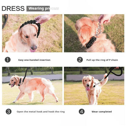 Everyday Nylon Dog Leash