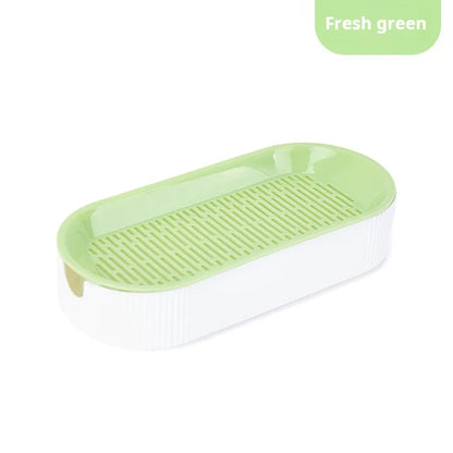 Soilless Hydroponic Cat Grass Planter