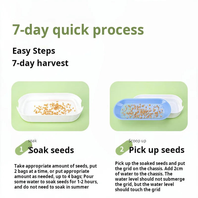 Soilless Hydroponic Cat Grass Planter