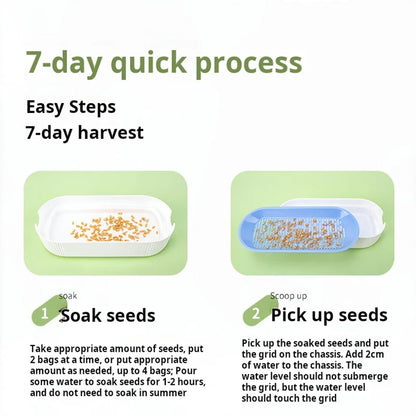 Soilless Hydroponic Cat Grass Planter
