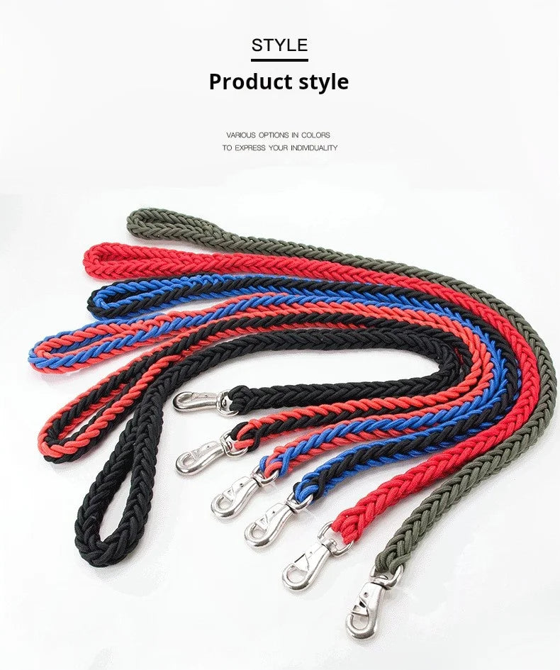 Everyday Nylon Dog Leash