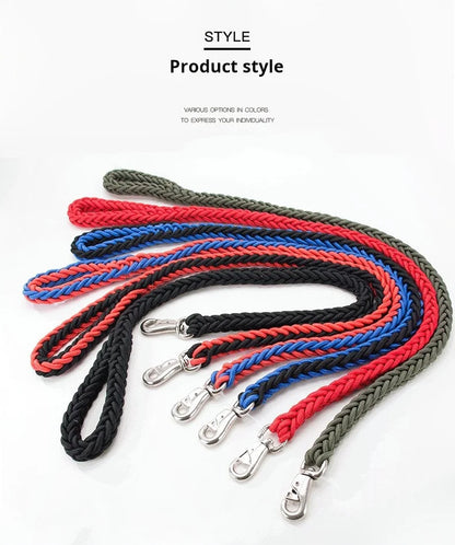 Everyday Nylon Dog Leash