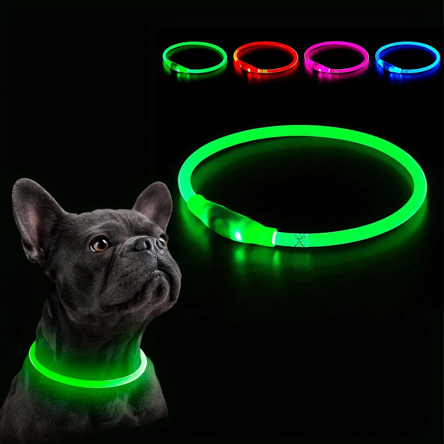 Night Walk Waterproof LED Dog Collar