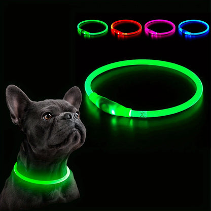 Night Walk Waterproof LED Dog Collar
